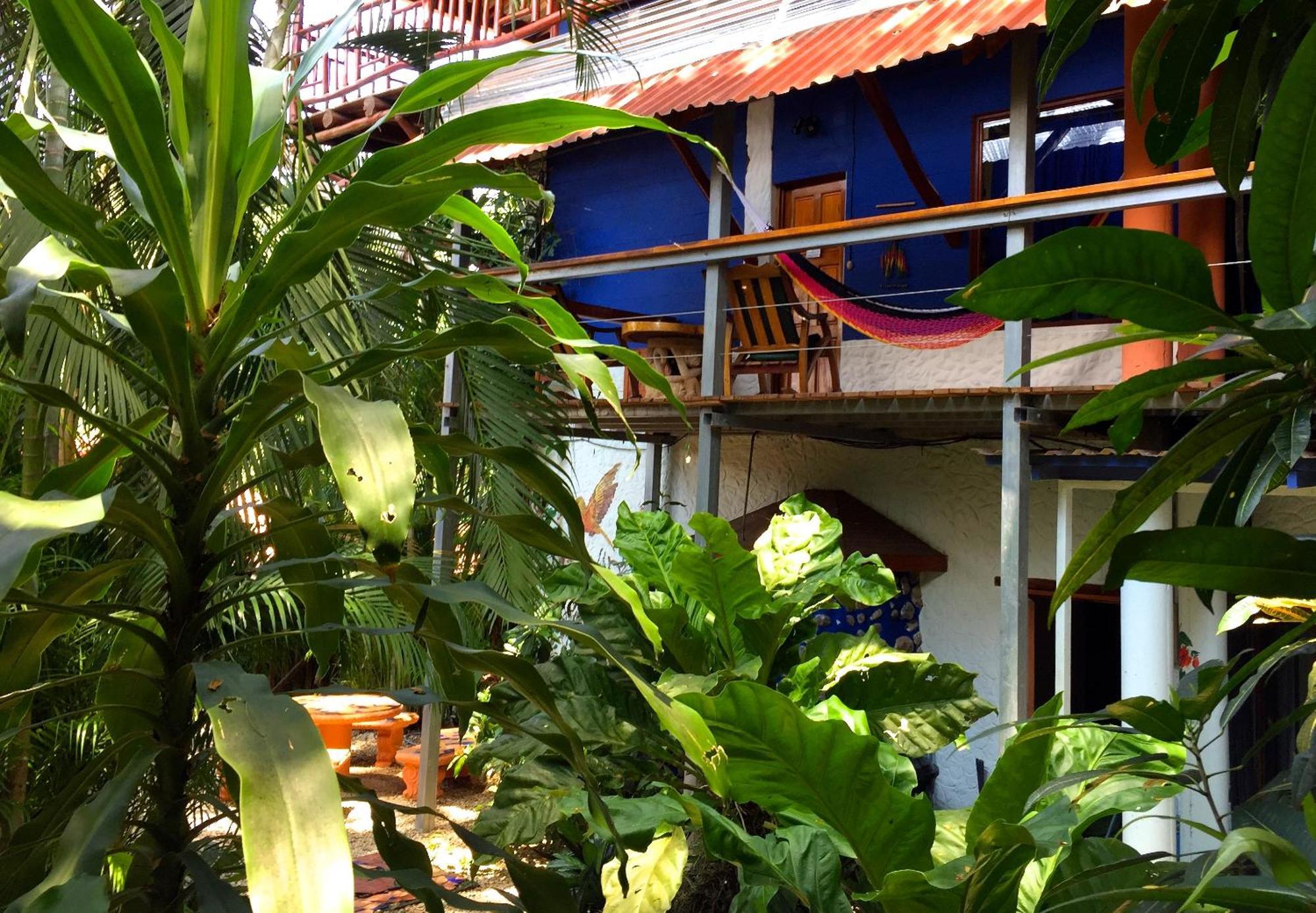 Tico Adventure Lodge Sámara Δωμάτιο φωτογραφία